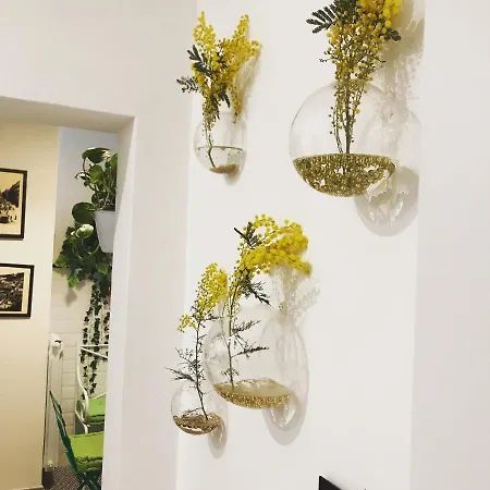 Bed & Breakfast Arianiello A Due Passi Dal Cristo Velato 4*