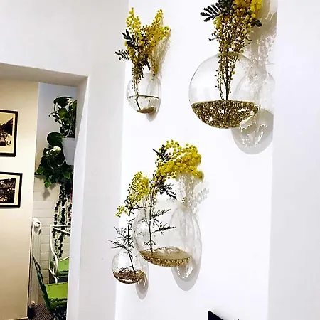 Bed & Breakfast Arianiello A Due Passi Dal Cristo Velato Naples